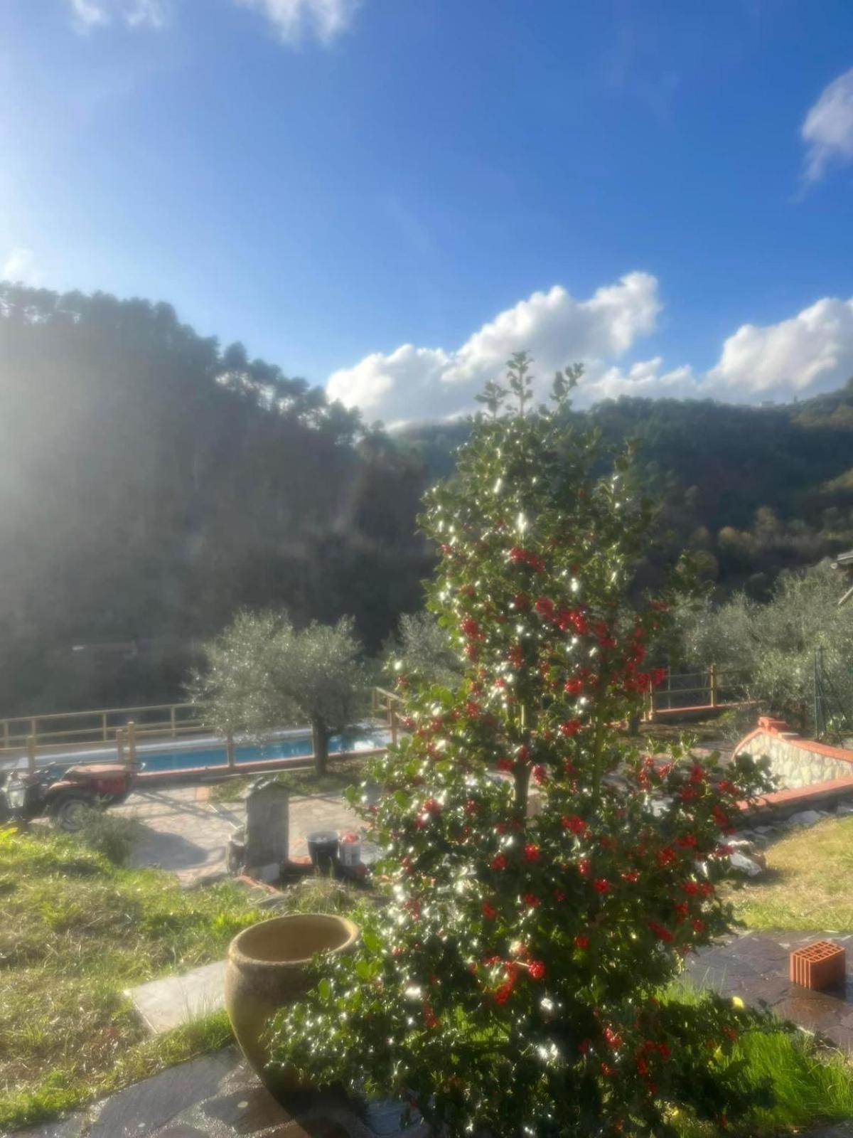 Podere Il Glicine Wellness Charme & Relax Casa vacanze *